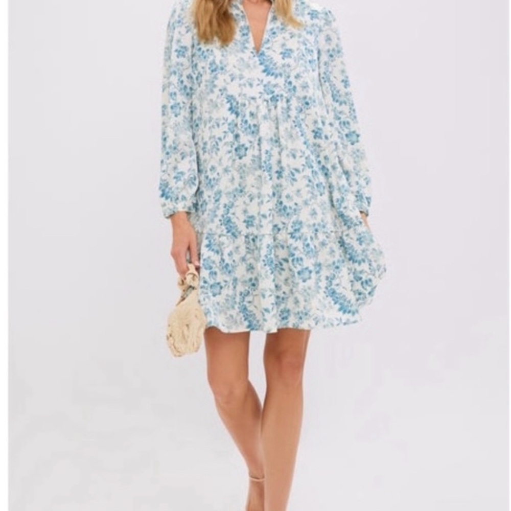 Tuckernuck Dress Palmerston
Jardin De Fleurs Crinkle Mini in
Blue Paisley